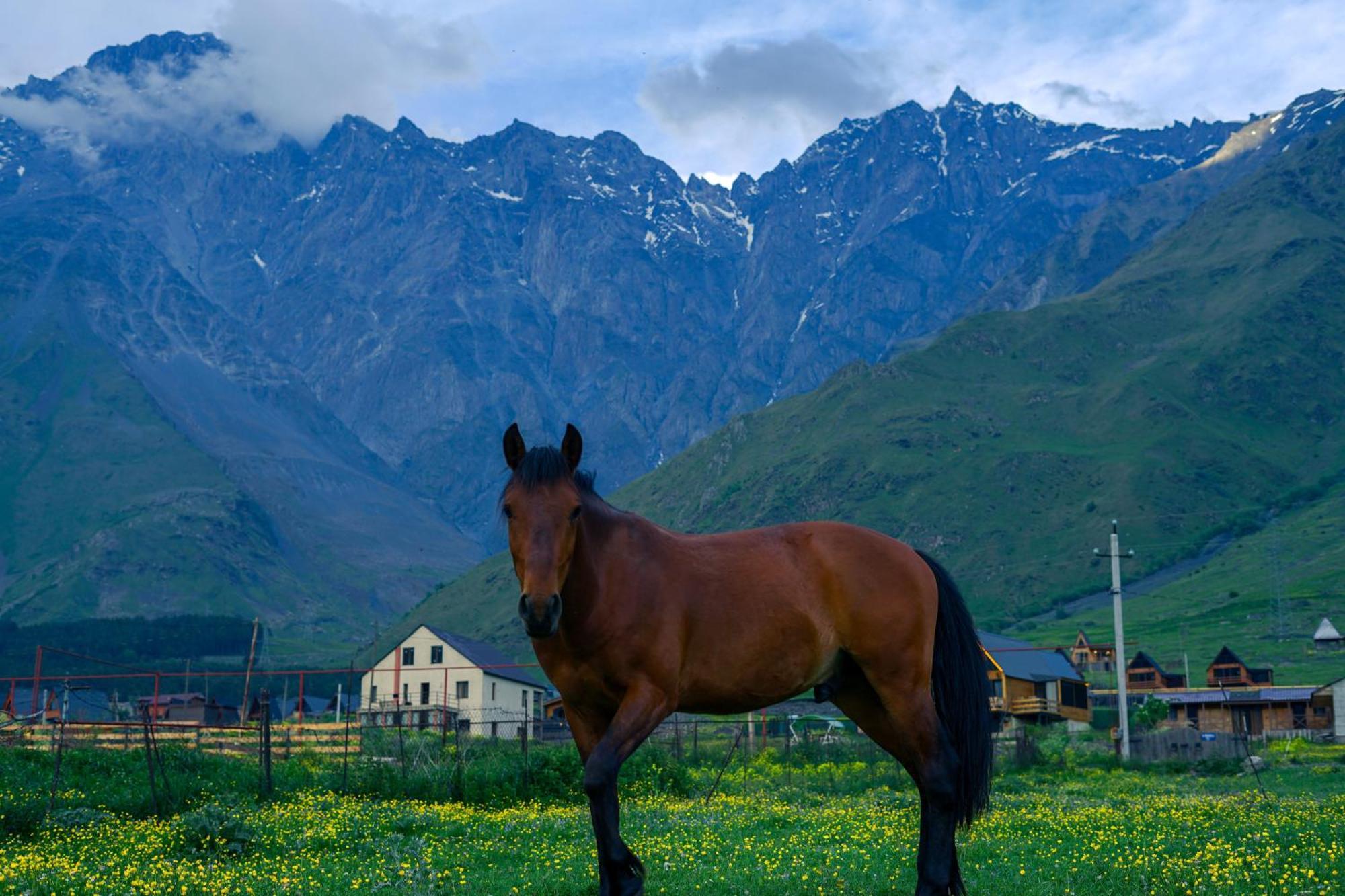 Savalley Kazbegi Esterno foto